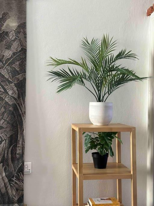 Xenia Apartments - Charming Garden Suite In Porta Venezia Mediolan Zewnętrze zdjęcie